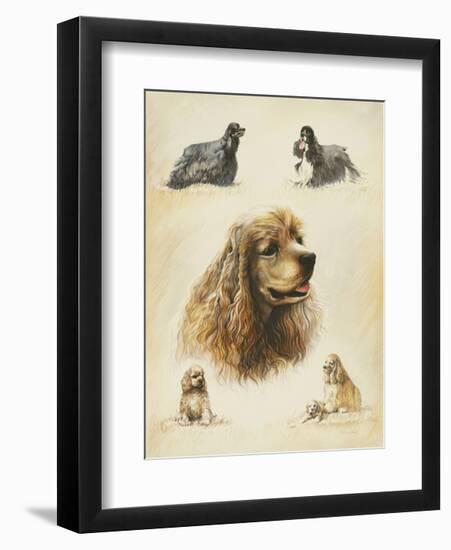 American Cocker-Libero Patrignani-Framed Art Print