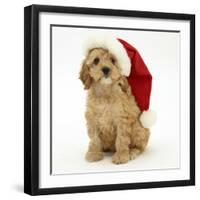 American Cockerpoo Puppy, 8 Weeks Old, Wearing a Father Christmas Hat-Mark Taylor-Framed Photographic Print