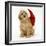 American Cockerpoo Puppy, 8 Weeks Old, Wearing a Father Christmas Hat-Mark Taylor-Framed Photographic Print