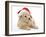 American Cockerpoo Puppy, 8 Weeks Old, Wearing a Father Christmas Hat-Mark Taylor-Framed Photographic Print