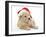 American Cockerpoo Puppy, 8 Weeks Old, Wearing a Father Christmas Hat-Mark Taylor-Framed Photographic Print