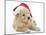 American Cockerpoo Puppy, 8 Weeks Old, Wearing a Father Christmas Hat-Mark Taylor-Mounted Photographic Print