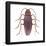 American Cockroach (Periplaneta Americana), Insects-Encyclopaedia Britannica-Framed Poster