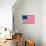 American Colonial National Flag Poster Print-null-Poster displayed on a wall