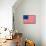 American Colonial National Flag Poster Print-null-Mounted Poster displayed on a wall