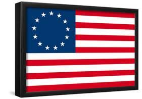 American Colonial National Flag Poster Print-null-Framed Poster