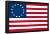 American Colonial National Flag-null-Framed Poster