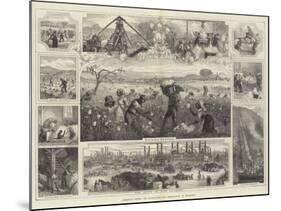 American Cotton, its Cultivation and Preparation in Mississippi-null-Mounted Giclee Print