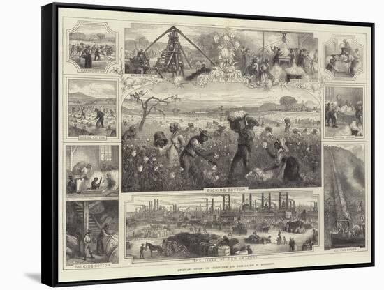 American Cotton, its Cultivation and Preparation in Mississippi-null-Framed Stretched Canvas