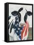 American Cow II-Annie Warren-Framed Stretched Canvas
