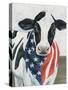 American Cow II-Annie Warren-Stretched Canvas