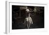 American Cowgirl-Lisa Dearing-Framed Photographic Print