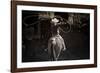 American Cowgirl-Lisa Dearing-Framed Photographic Print