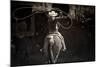 American Cowgirl-Lisa Dearing-Mounted Photographic Print