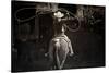 American Cowgirl-Lisa Dearing-Stretched Canvas