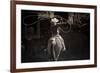 American Cowgirl-Lisa Dearing-Framed Photographic Print