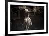 American Cowgirl-Lisa Dearing-Framed Photographic Print