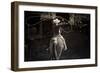 American Cowgirl-Lisa Dearing-Framed Photographic Print