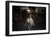 American Cowgirl-Lisa Dearing-Framed Photographic Print