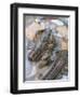 American Crayfish, Two, Gravel-Harald Kroiss-Framed Photographic Print