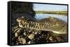 American Crocodile, Costa Rica-Paul Souders-Framed Stretched Canvas