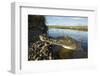 American Crocodile, Costa Rica-Paul Souders-Framed Photographic Print