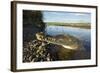 American Crocodile, Costa Rica-Paul Souders-Framed Photographic Print