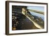 American Crocodile, Costa Rica-Paul Souders-Framed Photographic Print