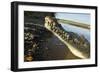 American Crocodile, Costa Rica-Paul Souders-Framed Photographic Print