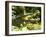 American Crocodile (Crocodylus Acutus) Costa Rica-Andres Morya Hinojosa-Framed Premium Photographic Print