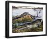 American Crocodile (Crocodylus Acutus), Crocodylidae, Drawing-null-Framed Giclee Print