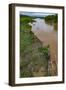 American crocodiles, Tarcoles River, Puntarenas, Costa Rica-Peter Hawkins-Framed Photographic Print