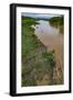 American crocodiles, Tarcoles River, Puntarenas, Costa Rica-Peter Hawkins-Framed Photographic Print