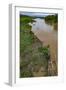 American crocodiles, Tarcoles River, Puntarenas, Costa Rica-Peter Hawkins-Framed Photographic Print