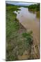 American crocodiles, Tarcoles River, Puntarenas, Costa Rica-Peter Hawkins-Mounted Photographic Print