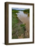 American crocodiles, Tarcoles River, Puntarenas, Costa Rica-Peter Hawkins-Framed Photographic Print