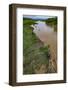 American crocodiles, Tarcoles River, Puntarenas, Costa Rica-Peter Hawkins-Framed Photographic Print