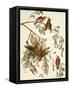 American Crossbill-John James Audubon-Framed Stretched Canvas