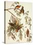 American Crossbill-John James Audubon-Stretched Canvas