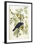 American Crow, 1833-John James Audubon-Framed Giclee Print