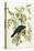 American Crow, 1833-John James Audubon-Stretched Canvas