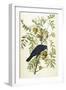 American Crow, 1833-John James Audubon-Framed Giclee Print