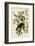 American Crow-John James Audubon-Framed Art Print