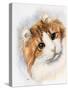 American Curl-Barbara Keith-Stretched Canvas