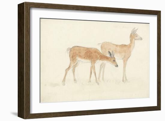 American Deer-Anthony Devis-Framed Giclee Print