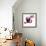 American Dog-Javier Brosch-Framed Photographic Print displayed on a wall