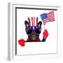 American Dog-Javier Brosch-Framed Photographic Print