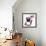 American Dog-Javier Brosch-Framed Photographic Print displayed on a wall