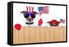 American Dogs-Javier Brosch-Framed Stretched Canvas