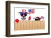 American Dogs-Javier Brosch-Framed Photographic Print